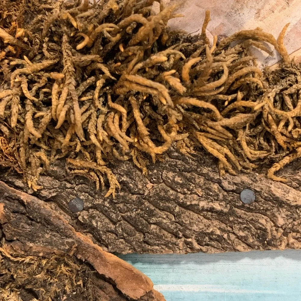 Vintage 50’s Japanese 3-D Landscape Bark & Moss Art - Picture 5 of 16